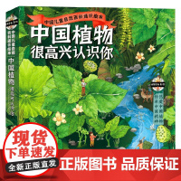 中国植物 很高兴认识你 函套共4册 5-12岁 米莱童书 著 科普百科