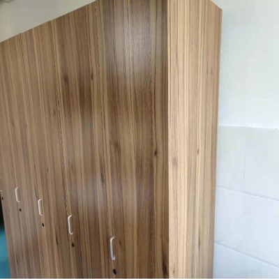 心业更衣柜XY-GYG1更衣柜储物柜 此产品单件不出售批量请联系客服(仅在线下销售,仅供安徽政府部门批量采购)