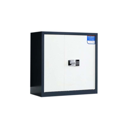 帅畅保密柜财务档案柜文件柜办公室资料储物柜保险柜矮柜灰白-国保密码锁