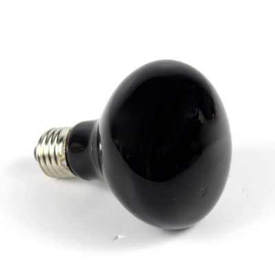 爬虫陆龟箱加热灯加热灯uva保温灯蜥蜴蛇夜灯鹦鹉刺猬爬宠夜间灯