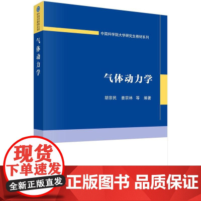 [按需印刷] 气体动力学