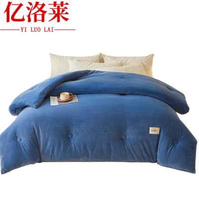 亿洛莱 冬被 1.5*2m/4斤 床