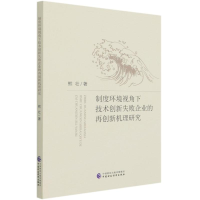 音像制度环境视角下技术创新失败企业的再创新机理研究熊壮著