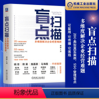 盲点扫描 多维度解决企业经营难题 [正版]盲点扫描 多维度解决企业经营难题 董坤 企业经营 小微企业 轻咨询 复盘企业潜