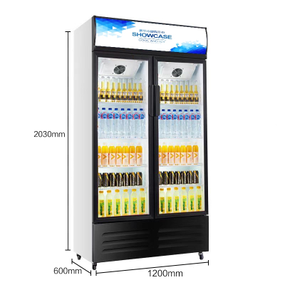 商用饮料柜单双门啤酒冷藏展示柜阿斯卡利(ASCARI)节能水果保鲜立式玻璃门冰箱 800L大双门-豪华风冷款商用