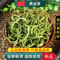 甄选黄金草100克干货正品新货官方店黄金草化石草茶叶9260