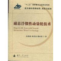 音像磁悬浮惯动量轮技术房建成,孙津济,樊亚洪著