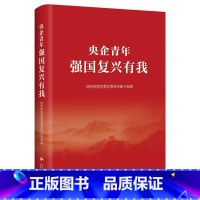 [正版]央视网央企青年 强国复兴有我 深入学习党的二十大精神 国资委党委宣传部 中央企业团工委作序HJ