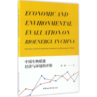 音像中国生物质能经济与环境的评价林琳 著