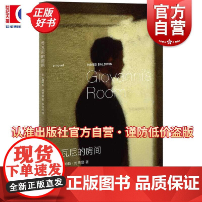 2024豆瓣年度书单]乔瓦尼的房间 美詹姆斯鲍德温名著科尔姆托宾精彩导读上海译文出版社群岛美国文学世界文学爱情经典正版书