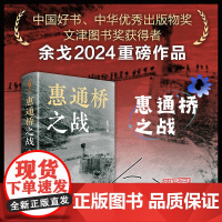 午阅正版 云仓 惠通桥之战 中国好书 中华优秀出版物奖 文津图书奖获得者余戈重磅作品 这是中国远征军滇缅抗战 天地出版社