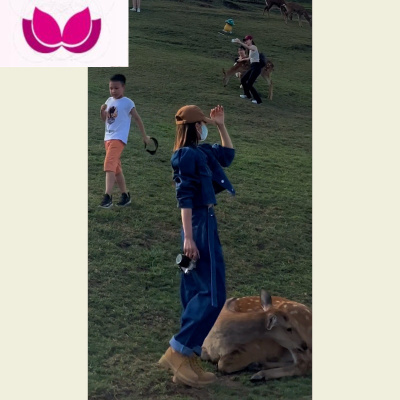 七斓小个子网红初成套搭配一整套显瘦牛仔套装2023新款女春季