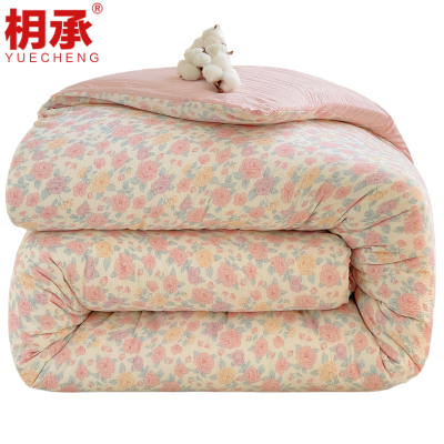 枂承 冬被200*230cm10斤 张