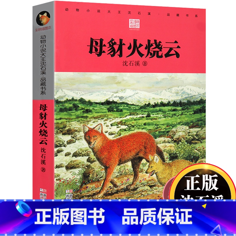 [正版]书店母豺火烧云 升级版 动物小说大王沈石溪品藏书系 小学三四五六年级课外阅读书籍动物小说 浙江少年儿童出版社