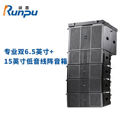 润普国产化专业双6.5英寸+15英寸低音线阵音箱报告厅大礼堂会议无缘音箱套装组合RP-XZS600-5