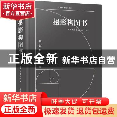正版 摄影构图书 于然 电子工业出版社 9787121381577 书籍