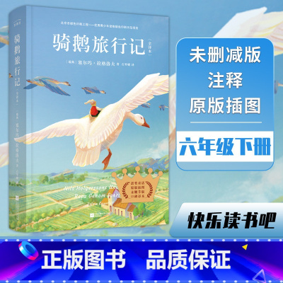 尼尔斯骑鹅旅行记(插图完整版) [正版]骑鹅旅行记(全译本) (瑞典)塞尔玛·拉格洛夫 著 石琴娥 译 儿童文学文学 书