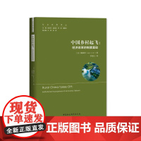 中国乡村起飞--经济改革的制度基础/社会发展译丛