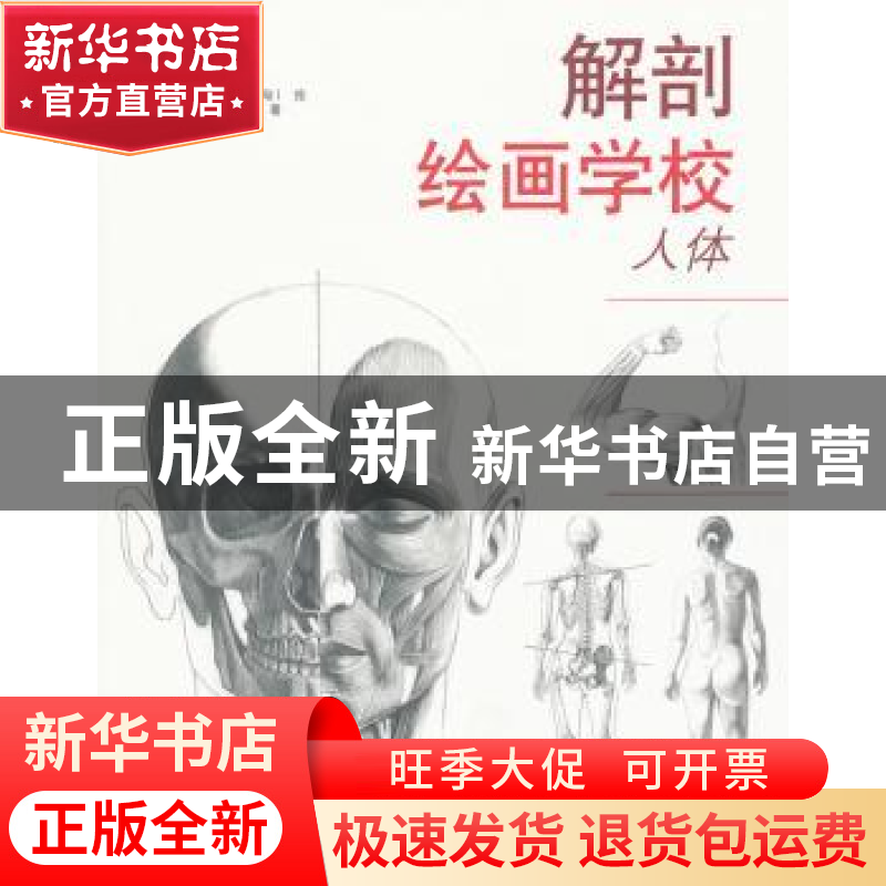 正版 解剖绘画学校:人体 [匈]乔治·费舍尔[GyorgyFeher]著 山东美