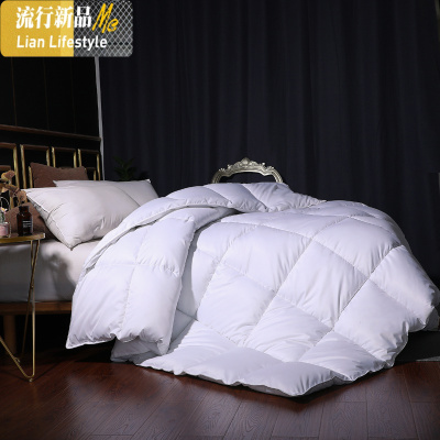 大豆纤维冬被加厚保暖丝棉被芯棉太空单双人春秋空调被褥特厚10 三维工匠被子