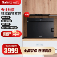 格兰仕(Galanz)电蒸炉22升家用 营养纯蒸 触控 沸腾蒸汽 下沉式发热盘 一体锻造 DZ22T-P50