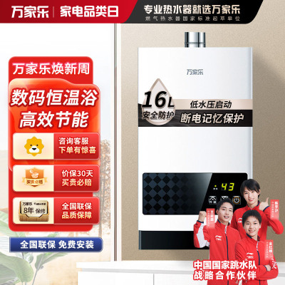 Macro/万家乐 JSQ30-16T1(T)燃气热水器家用管道12T天然气