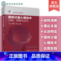 [正版] 团体沙盘心理技术 过程策略与技巧 沙盘中国系列 一本书读懂团体沙盘心理技术 心理学入门书籍 团体心理学沙盘应