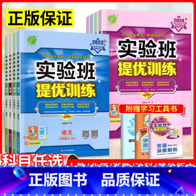 [人教版]语数英 3本 七年级下 [正版]实验班提优训练七年级下册上册数学语文英语政治历史人教北师大版苏教版实验班七下初