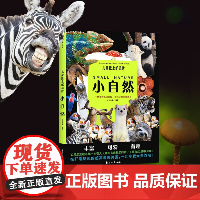 儿童纸上纪录片小自然 波点童趣 一整本的高清大图 给孩子的视觉盛宴 少儿科普绘本百科全书课外读物绘本漫画 磨铁图书 正版