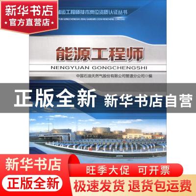 正版 能源工程师 中国石油天然气股份有限公司管道分公司编 石油