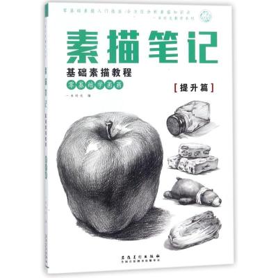 正版新书]素描基础教程:提升篇/素描笔记一米时光9787539879208