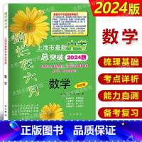 灿烂在六月 中考总突破 数学 上海 [正版]2024版灿烂在六月上海市中考总突破 数学 双色版 适2021年起始的上海7