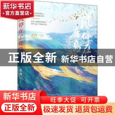 正版 风停在了鹿岛上 北西 台海出版社 9787516827468 书籍
