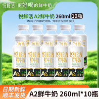 悦鲜活A2鲜牛奶260mlx10瓶君乐宝纯牛奶瓶装生牛乳营养早餐奶低温巴氏奶
