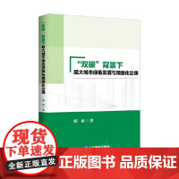 双碳 背景下超大城市绿色发展与精细化治理 胡睿 著 管理
