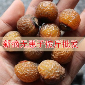 新采摘无患子散珠菩提子原籽木患子鬼见愁肥皂树清洁材料洗手果送女朋友老婆情人节七夕生日礼物