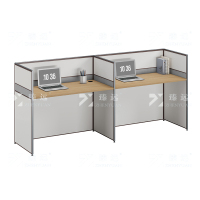 臻远 ZYGW-006职员桌办公桌屏风工作卡位直排双人位