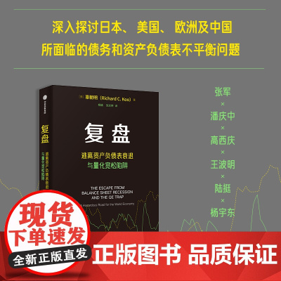 复盘 逃离资产负债表衰退与量化宽松陷阱 辜朝明著 深度解析经济危机 洞见未来复苏之路 中信出版社图书 正版