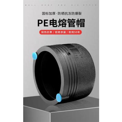 盛京联硕 PE电熔管帽 D90(承压1.6Mpa)个
