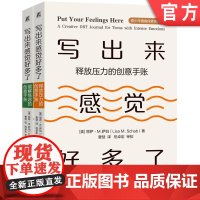 正版 写出来感觉好多了(缓解焦虑的创意手账,释放压力的创意手账,共2册) Lisa M. Schab 9787111
