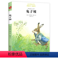 兔子坡 [正版] 柳林风声 杨静远 亲近母语经典童书阅读指导版 小学生四五六年级课外读物 学校老师阅读书籍版本 广西师范