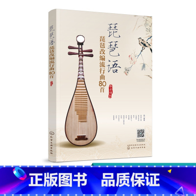 琵琶语 琵琶改编流行曲80首 [正版]琵琶语 琵琶改编流行曲80首 张云俏 琵琶流行曲 古风曲影视剧 琵琶爱好者喜欢的