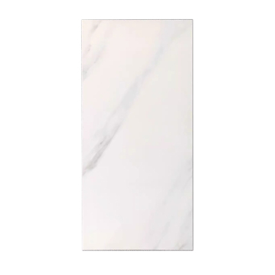 海铁科技墙面瓷砖300*600MM/块