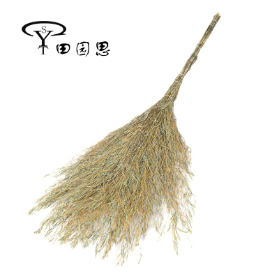 田园思 大扫把 YZP-SBZ01 把