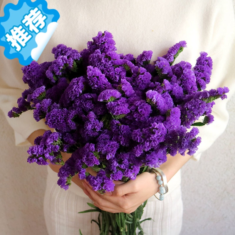 勿忘我满天星干花花束鲜花真花客厅摆设插花装饰摆件花卉礼物 紫色