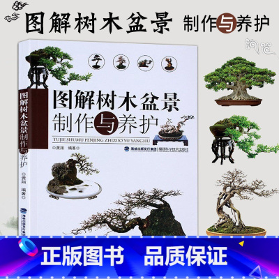 图解树木盆景制作与养护 [正版]图解树木盆景制作与养护 附石盆景盆栽树木盆景造型设计栽培书籍