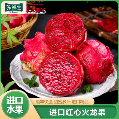 [苏鲜生]越南红心火龙果 净重2.8斤 单果500g左右 箱装 热带水果 当季新鲜水果