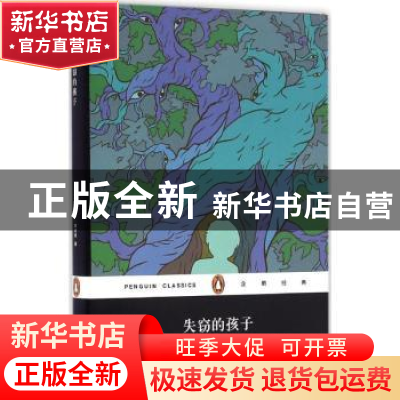 正版 失窃的孩子 (美)凯斯·唐纳胡著 上海文艺出版社 97875321608