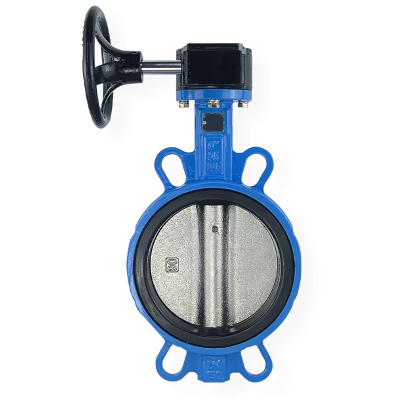 冰城同祥 对夹式蝶阀 DN50 台