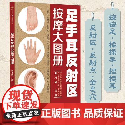 足手耳反射区按摩大图册 中医养生书籍养生书籍大全中医方剂 辨证论治 常见病药膳食谱黄帝内经